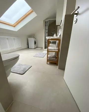 Luftige Dachwohnung Mit Besonderem Charme Apartment